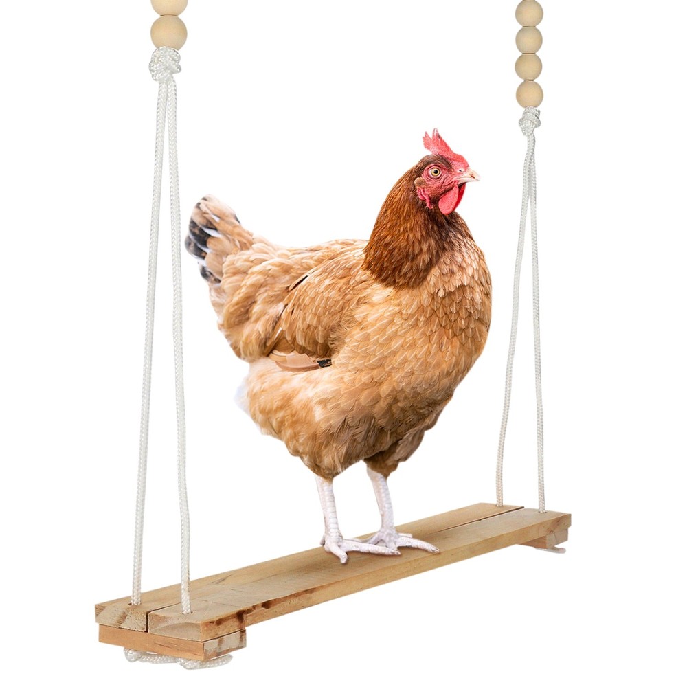 Chicken Swing