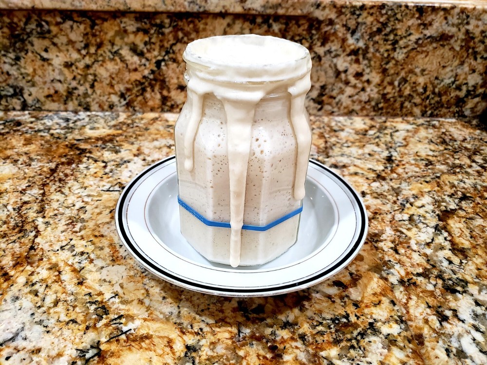 Organic DEHYDRATED SOURDOUGH STARTER