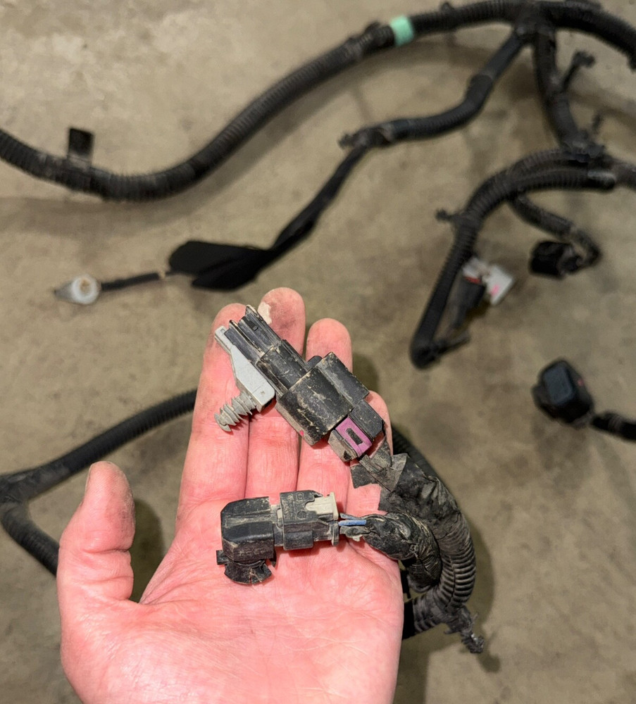 Forward Lamp Wiring Harness 23441365