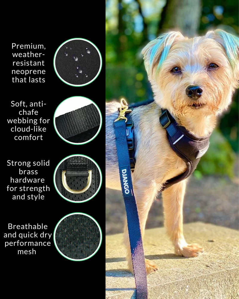 NWT Django Adventure Dog Harness - Black