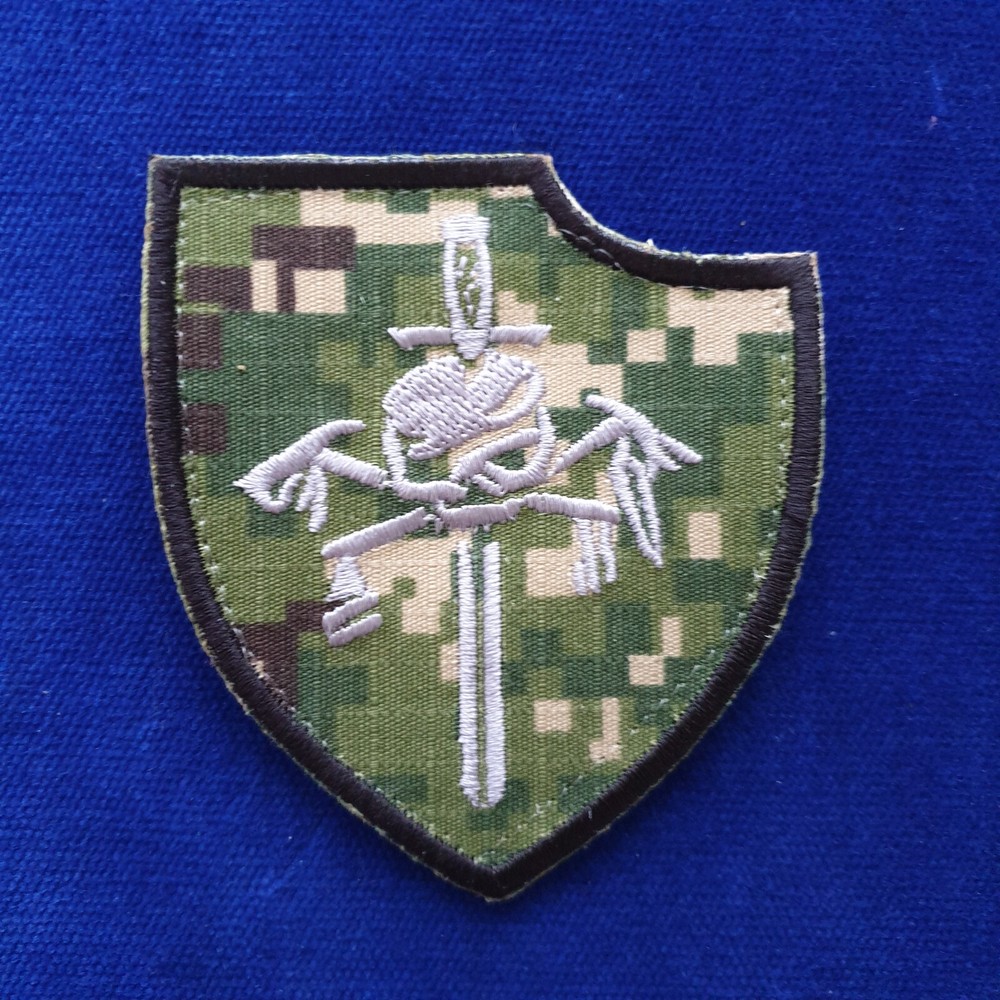 Navy SEALs Team 6 Silver Squadron Patch Naval Special Warfare Development #1