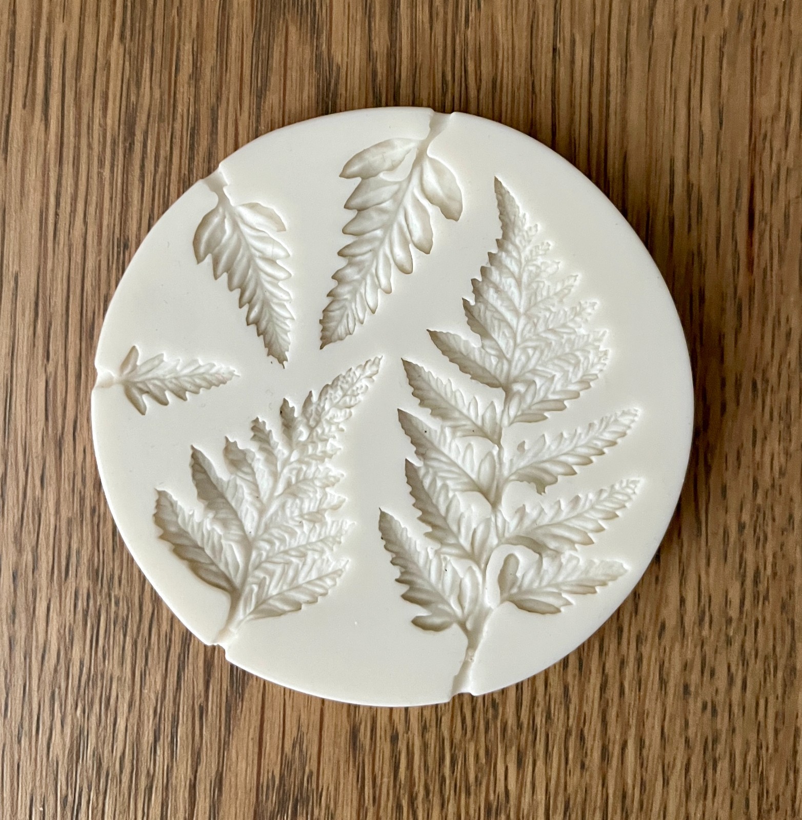 2PCS Succulent Fondant Mold Fern Leaf Fondant Mold Silicone Polymer Clay Molds