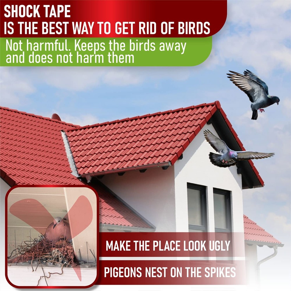 kit for Pigeon & Bird Control - Bird Trainer Solution for Keeping Birds Away ...
