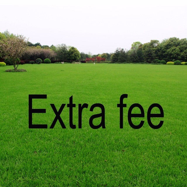 Payment after Communication extra fee (Additional charge)