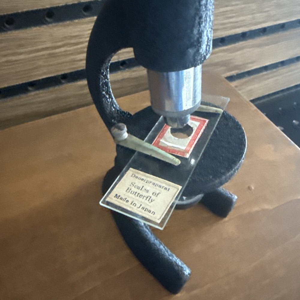 Vintage Microscope Set With Box And Slides