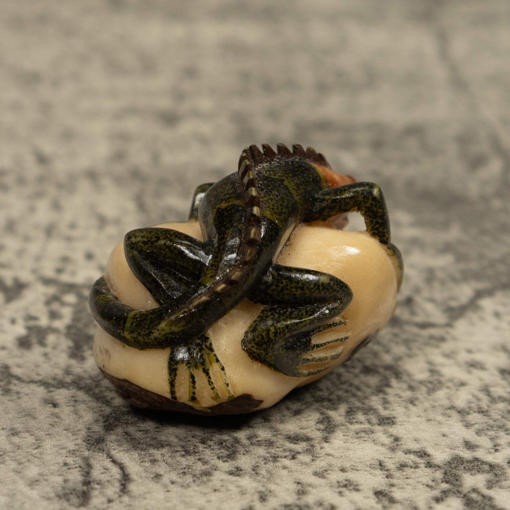 Iguana Lizard Reptile Tagua Carving