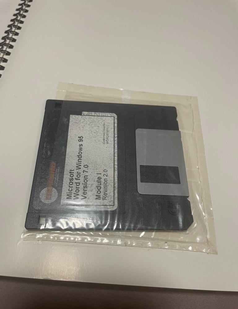 (2) Vintage Courseware Series Learning Guide Windows 95 Word