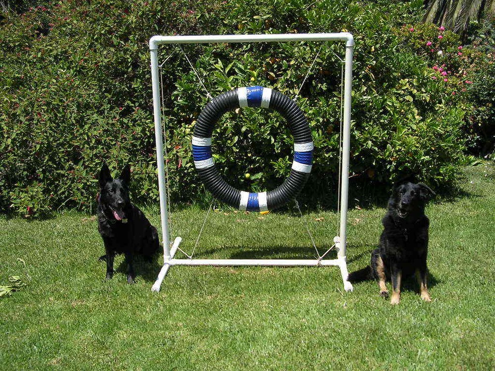 Dog Agility Tire Jump