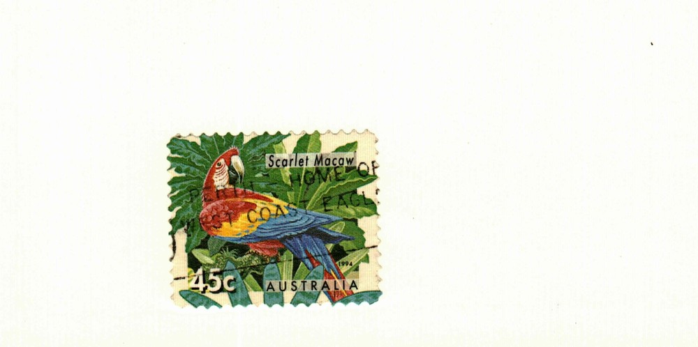 Australia #1390 used  Scarlet McCaw bird