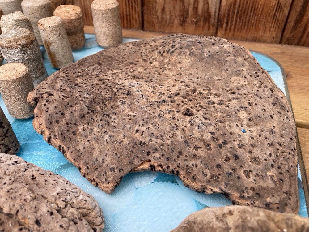 Tropical Driftwood and Cork pieces