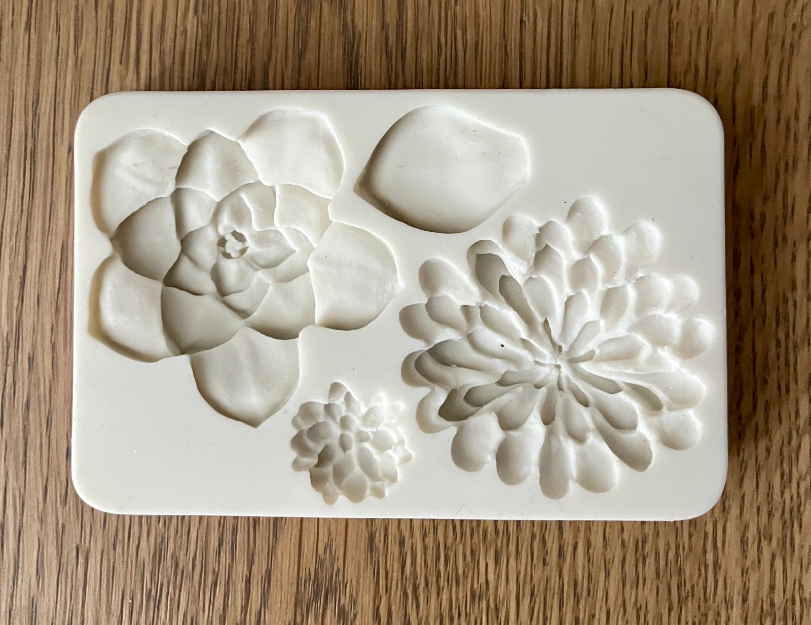 2PCS Succulent Fondant Mold Fern Leaf Fondant Mold Silicone Polymer Clay Molds