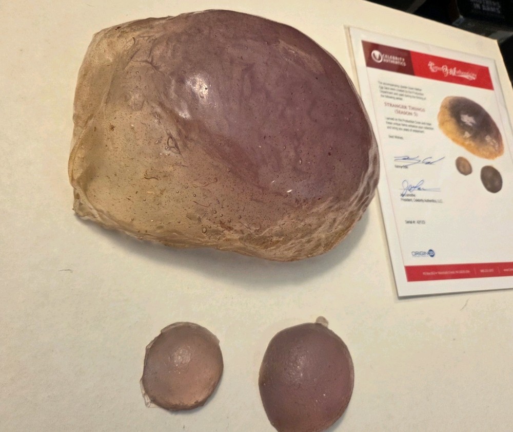 Stranger Things Original Memorabilia Prop Piece (Vecna Cavern Fragment) S5