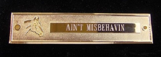 ENGRAVED HORSE TROPHY NAME PLATE - EQUESTRIAN