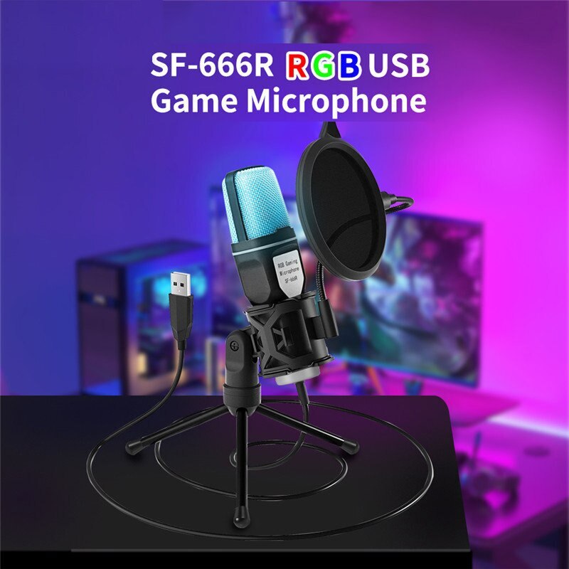 Microphone Mic Kit Broadcasting Singing Studio Recording Condenser For PC Laptop