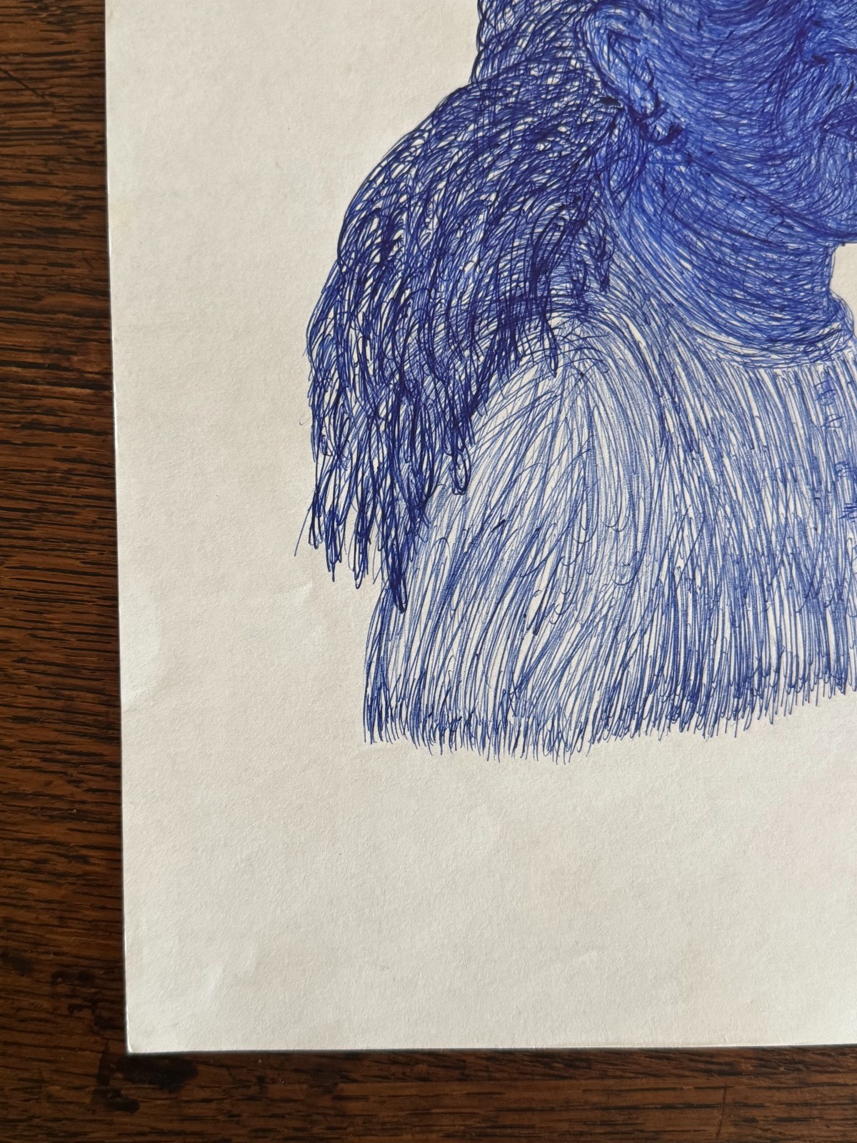 Original Young African-American Woman Blue Ballpoint Pen Portrait Drawing 9"x12"