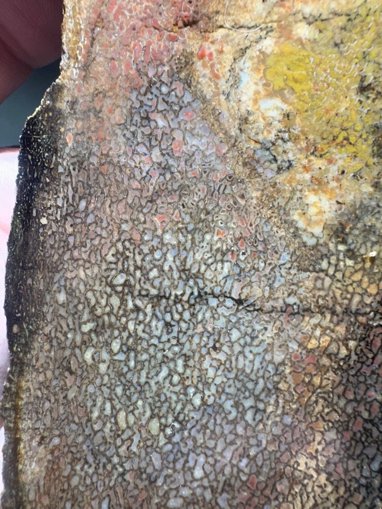 Dinosaur bone rough **hxtled slab.