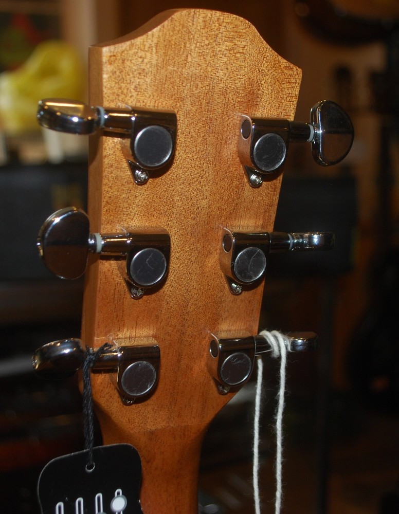 Teton STS 100 CENT Guitar