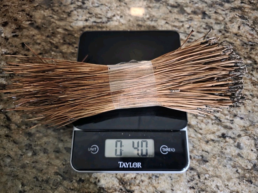 Loblolly Pine Leaf Pine Needles 9" for Basket Making Basketry 4oz per Bundle