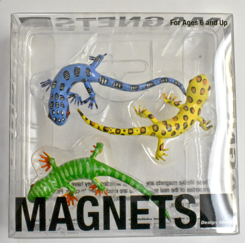 Design Ideas Mini Magnets - Lizards