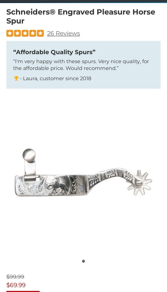 Engraved Pleasure Horse Spurs