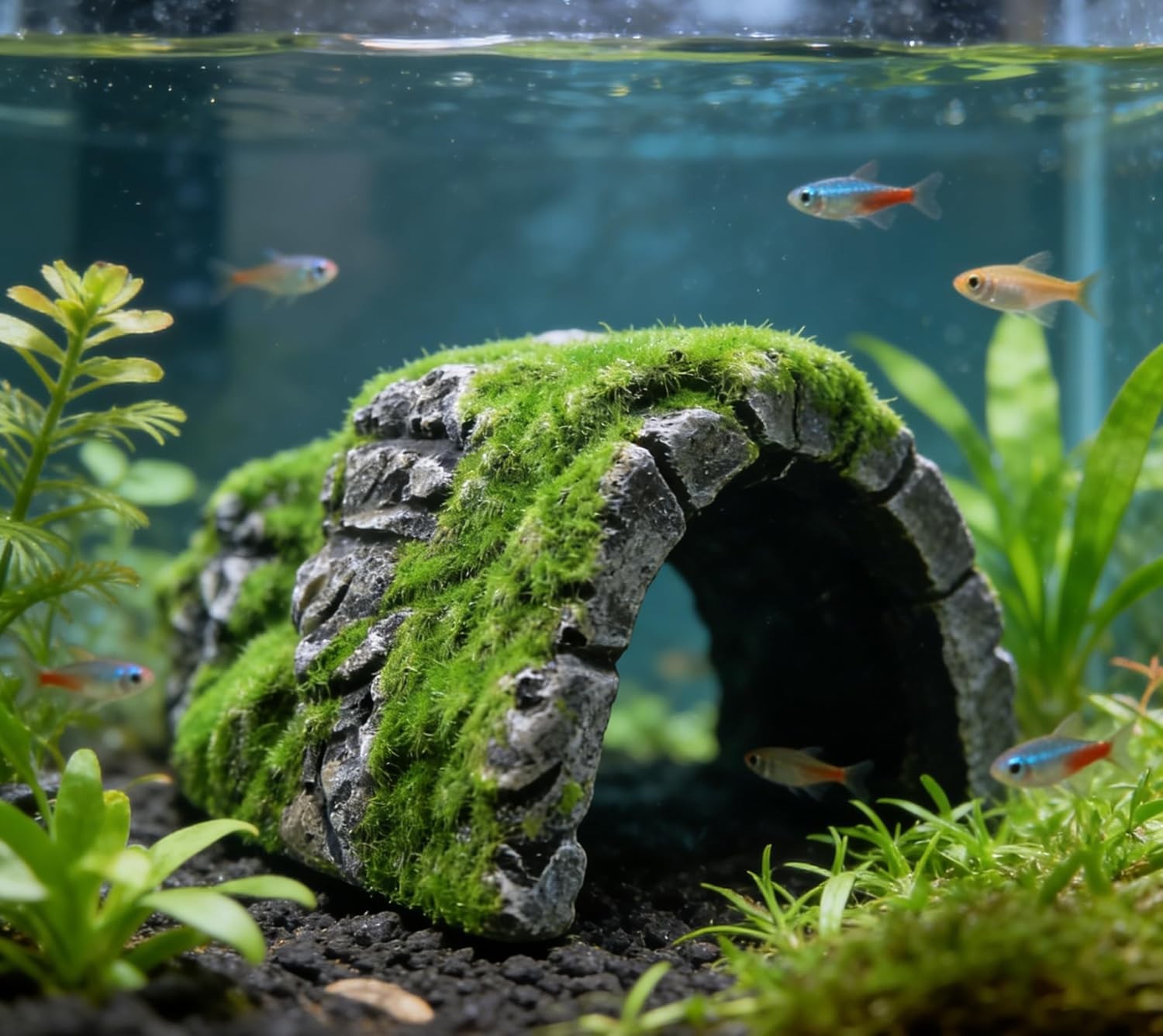Eco-Friendly Betta Cave Fish Hideout with Lifelike Moss – Perfect for Breeding
