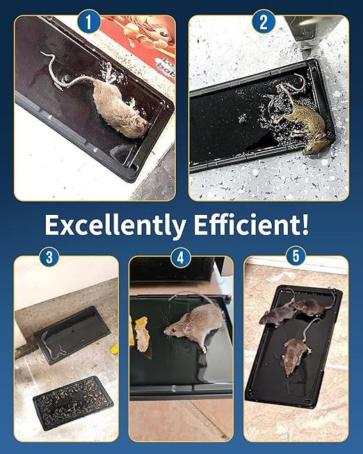 Rat Mouse Glue Traps for Indoor, Pre-Scented Mouse Trap