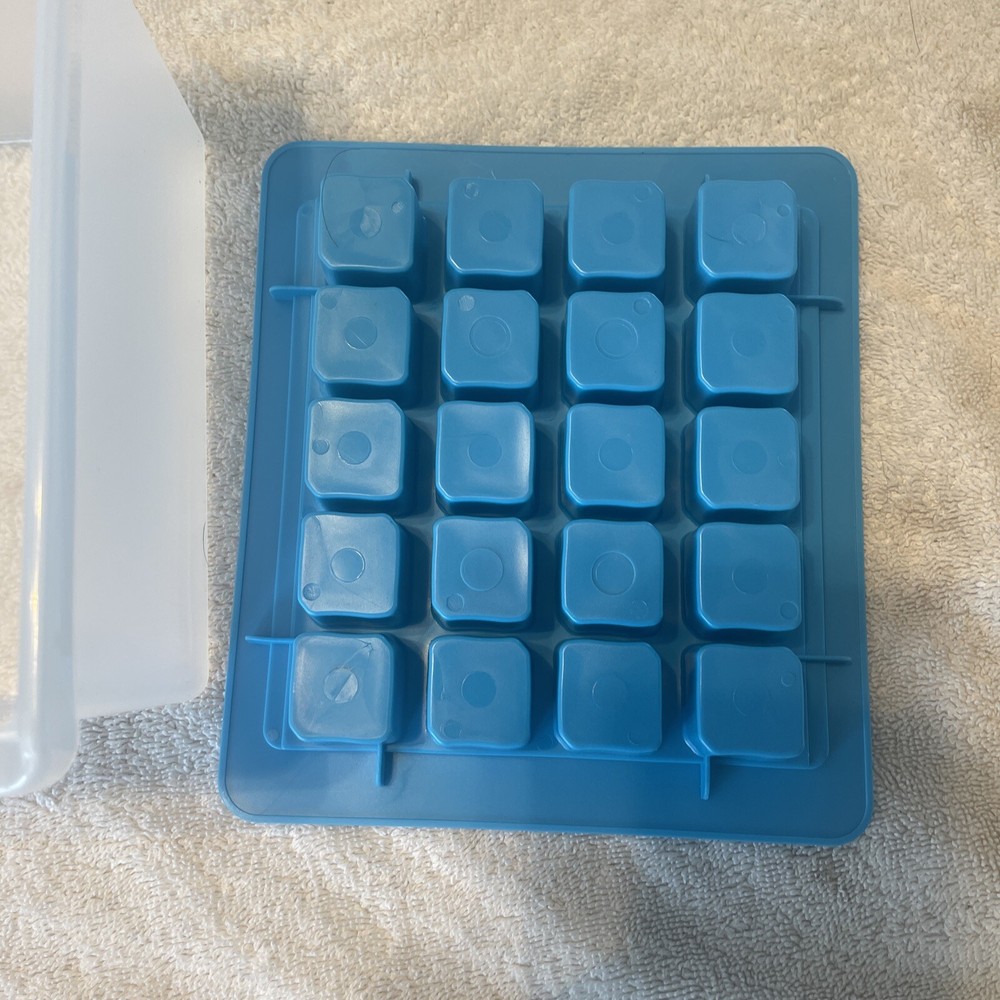 (2) Ice Cube Tray Container Small Square Ice Cubes Mold Cover