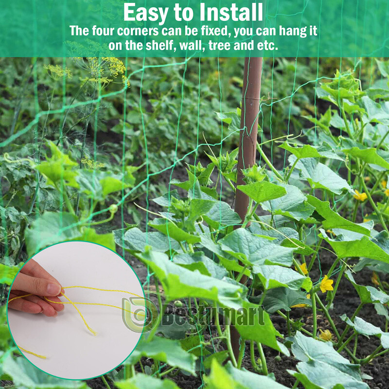 Garden Plant Climbing Net Trellis Netting Mesh Support Fruits Vine Veggie Bean