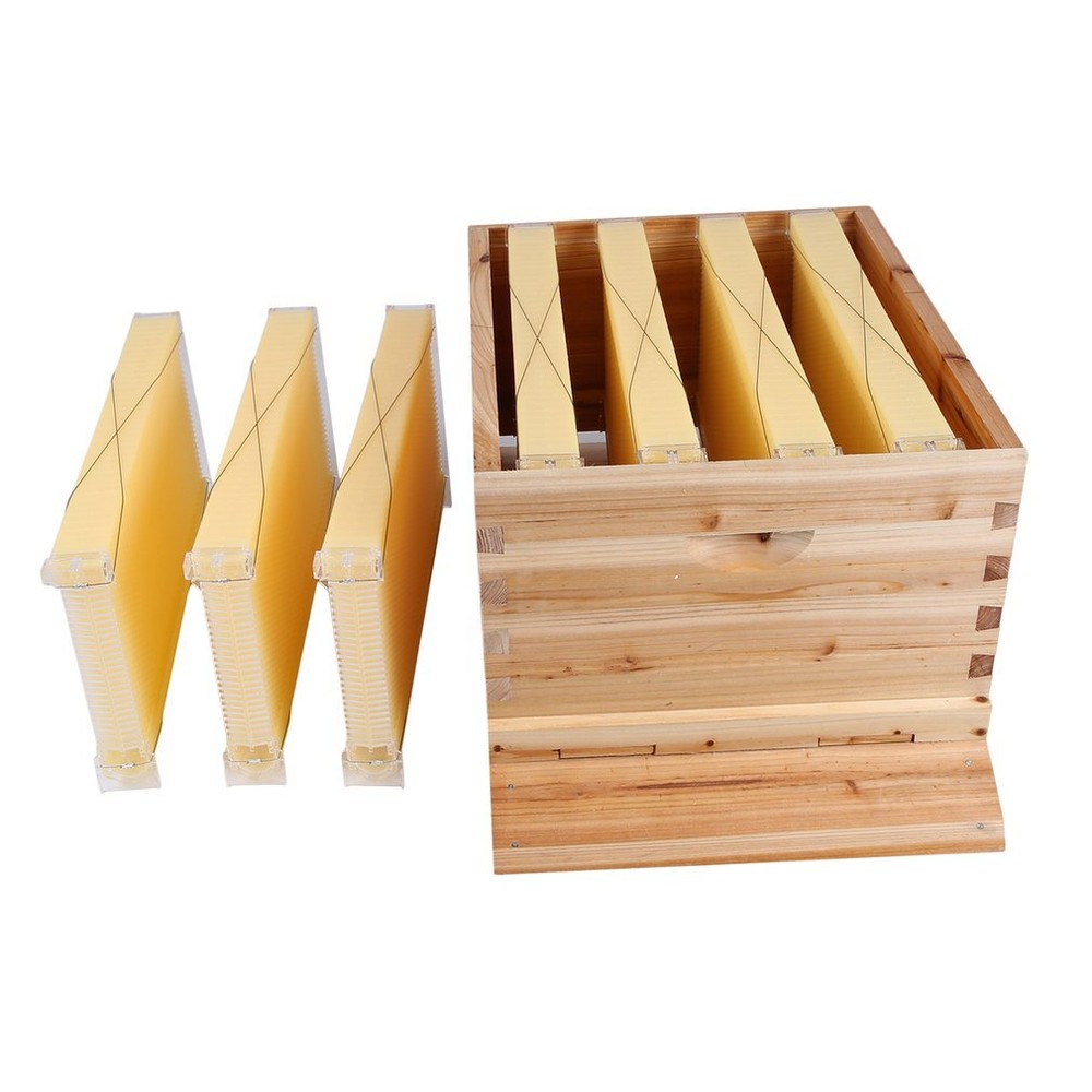 Auto Honey Bee Hive Boxes Bee Hives + 7pcs Bee Frames Beekeeping Frames