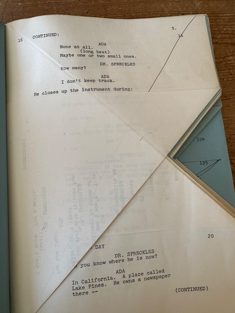 Lassie: A New Beginning TV MOVIE SCRIPT SCREENPLAY