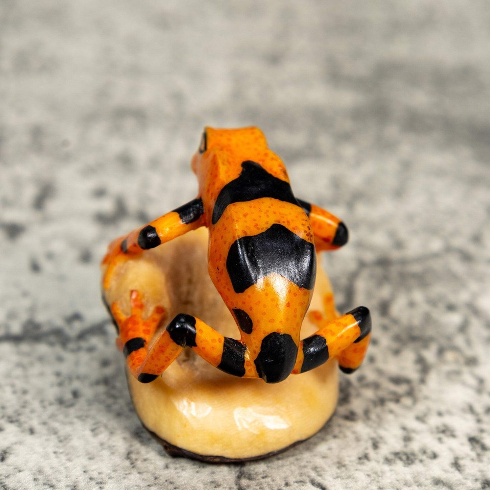 Fully Undercut Poison Dart Frog Tagua Carving