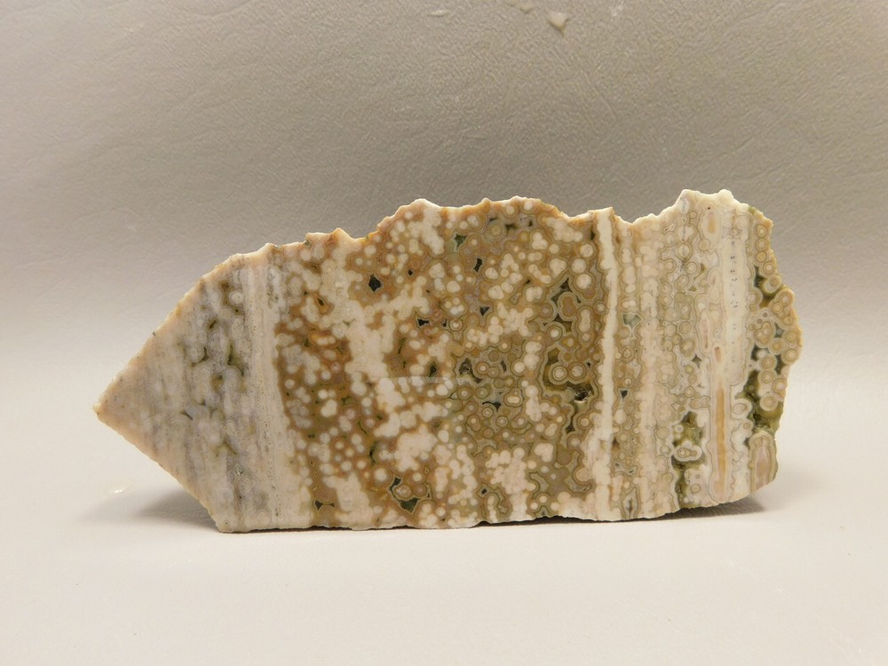 Ocean Jasper Unpolished Stone Endcut Lapidary Rough Rock #O7