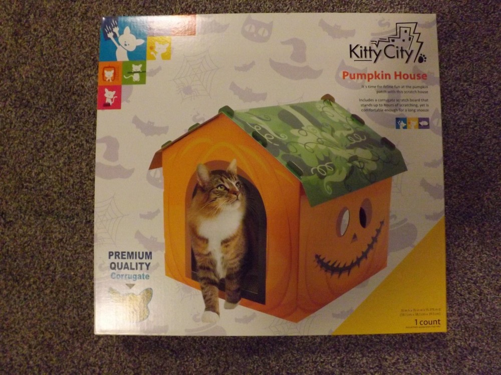 NEW Kitty City Pumpkin House