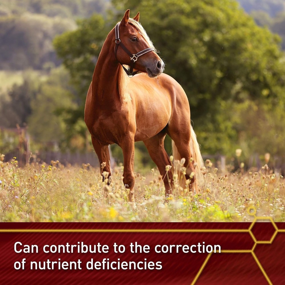 Optimal Nutrient Solution: 4lb Selenium & Vitamin E for Horses - 64-Day Dosage