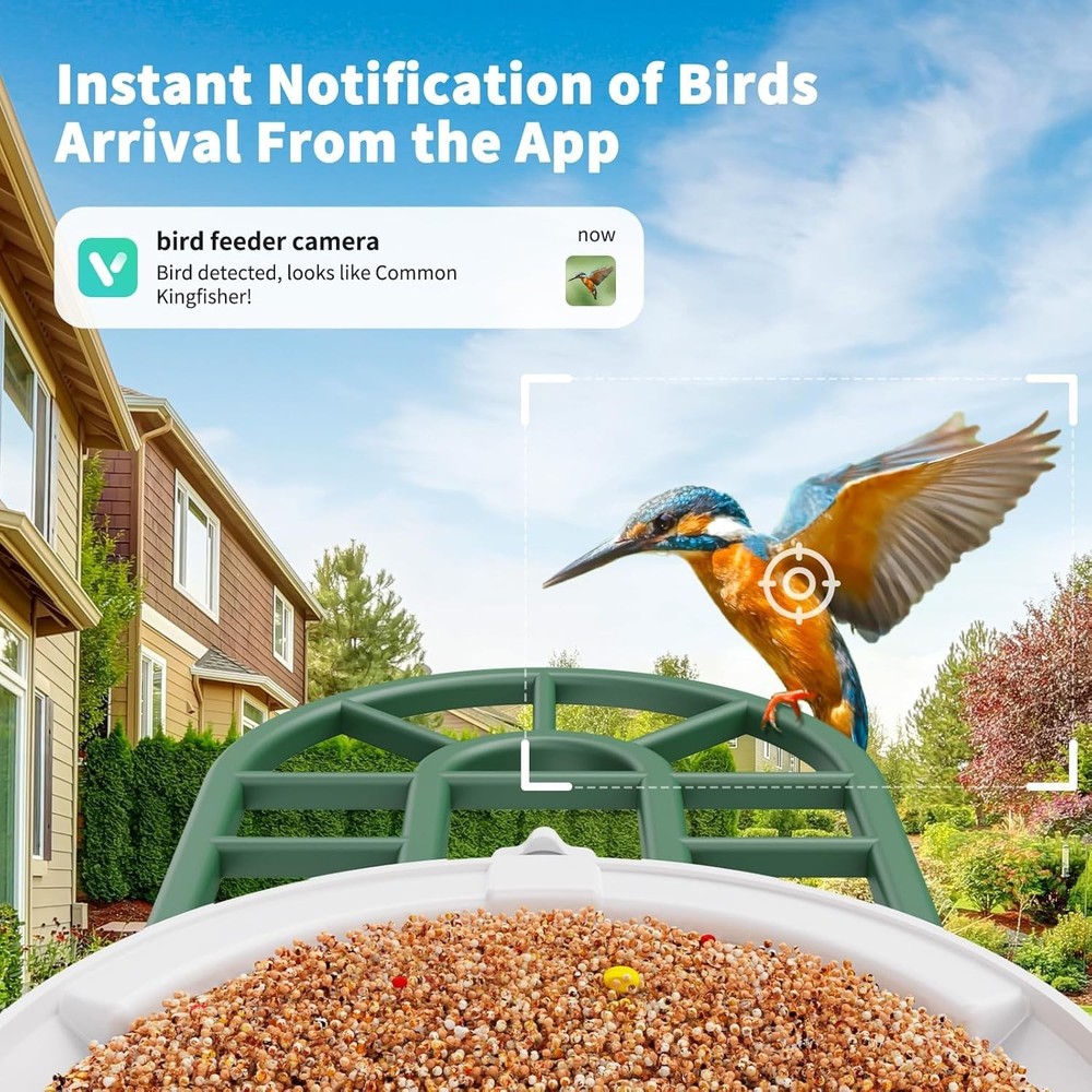 Smart Birdhouse Camera with Arrival Notifications