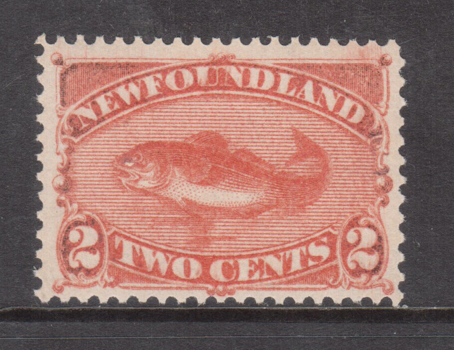 Newfoundland #48 Very Fine + Never Hinged