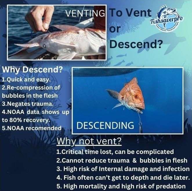 Fish descending release device compact NOAA compliant for deep drops
