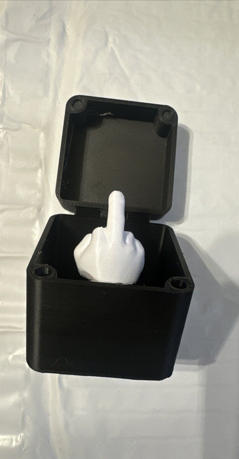 Middle Finger In A Box Funny Surprise Prank Spoof Hand Pop up Box Gift Adults US