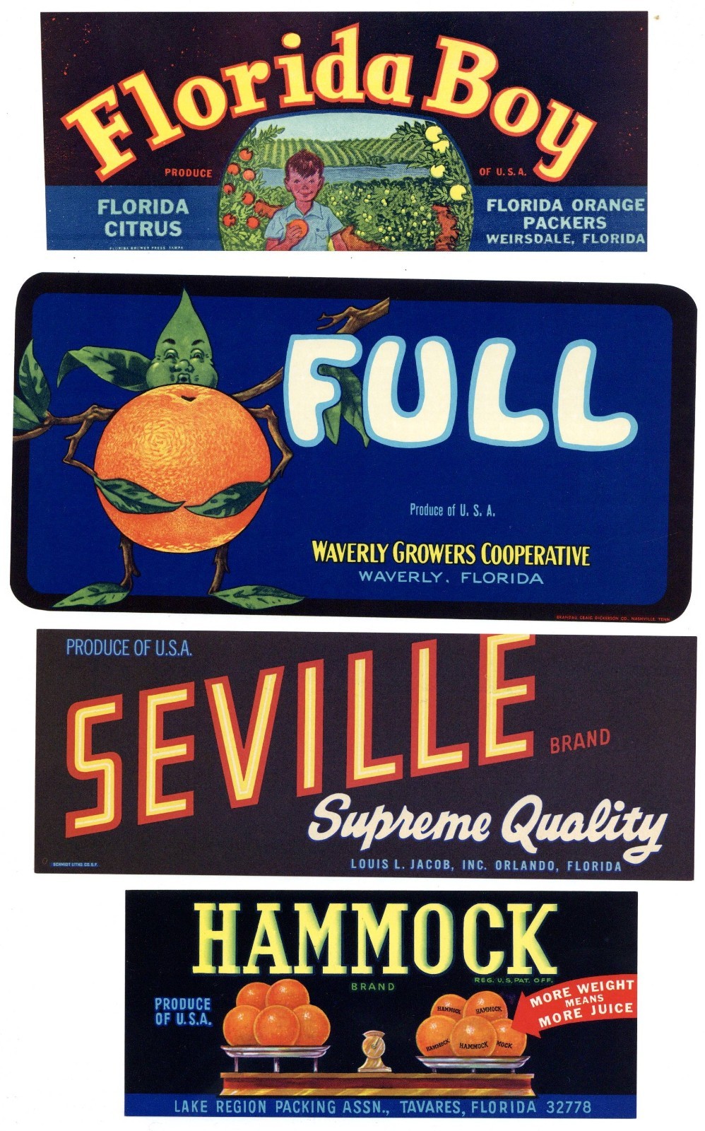 Collection of 25 Different Florida Citrus Labels **ORIGINAL FRUIT CRATE LABELS**
