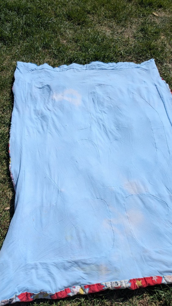 Tiny Toons Comforter Twin Size Vintage 1990