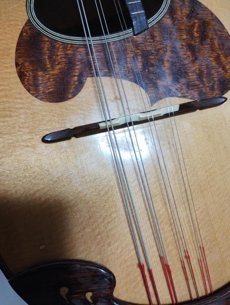 Suzuki Mandolin M-30