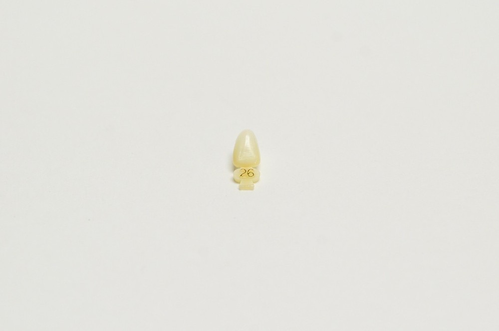 DENTAL POLYCARBONATE TEMPORARY CROWNS #26 (ULL) UPPER LEFT LATERAL 5/PACK
