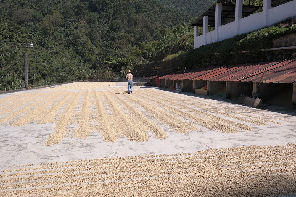 Guatemala