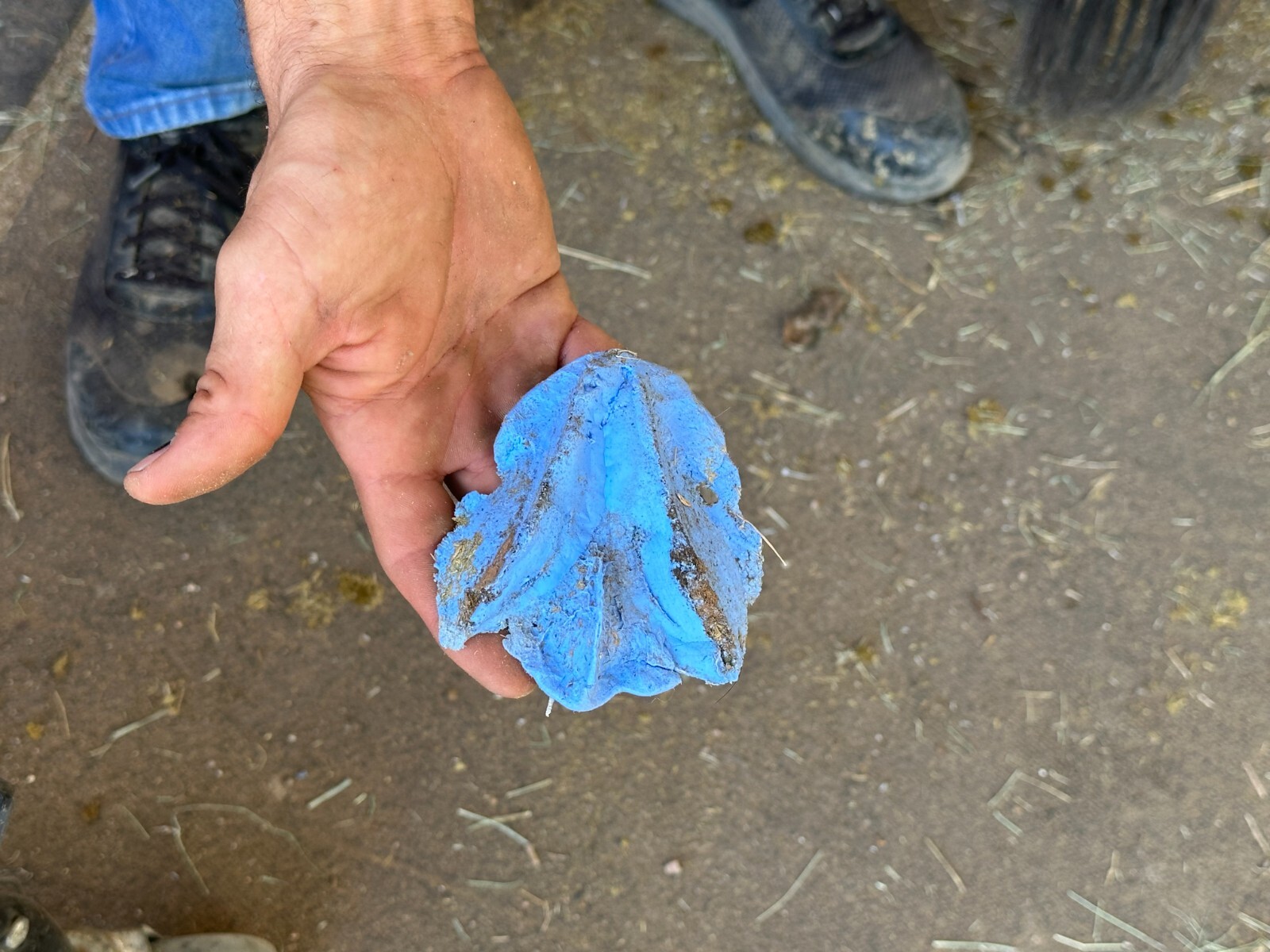 Cloud 9 Horse Hoof Silicone Putty, Medium Hardness, 3lb Pad & Impression