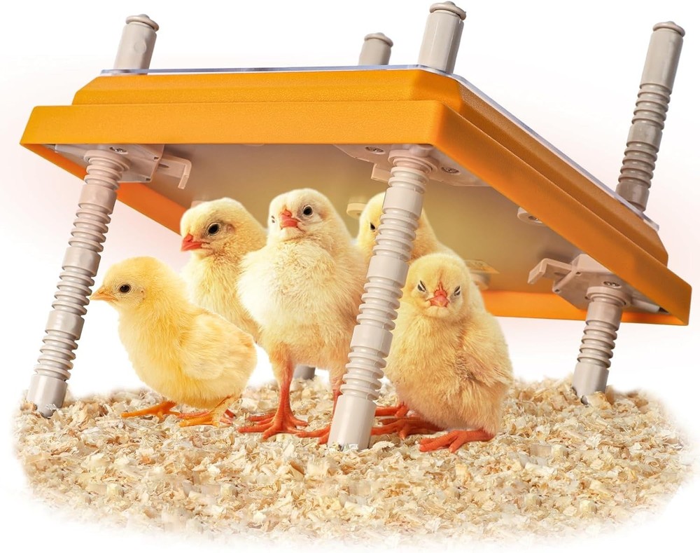 Efficient Full-Size Chick Brooder Heater - 10" x 10" with Safety Features