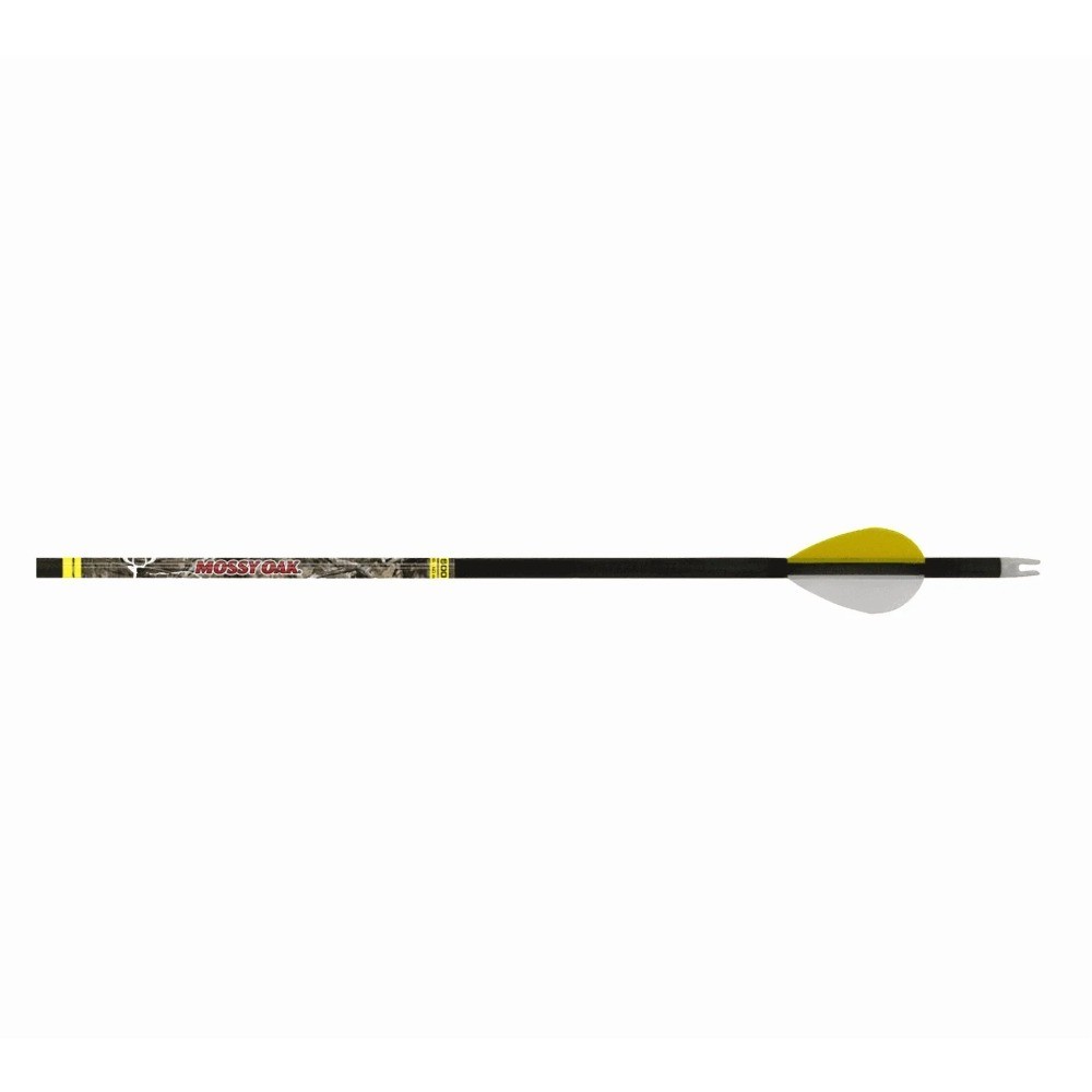 Carbon Archery Arrows for Hunting and Target Practice with Replaceable Points