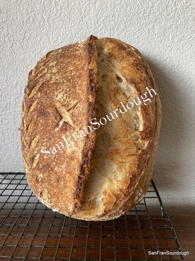Authentic starter Oregon Trail sourdough starter knead with  bread machine