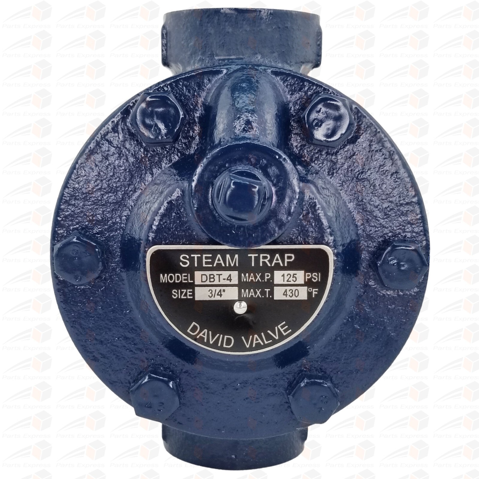 3/4" DAVID™ Inverted Bucket Steam Trap w/Built-In Strainer & Drain (Max 125 psi)