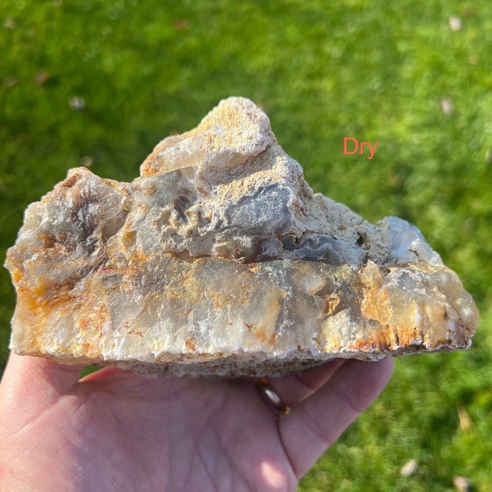 Graveyard Point Plume Agate Rough 836gm (A22)