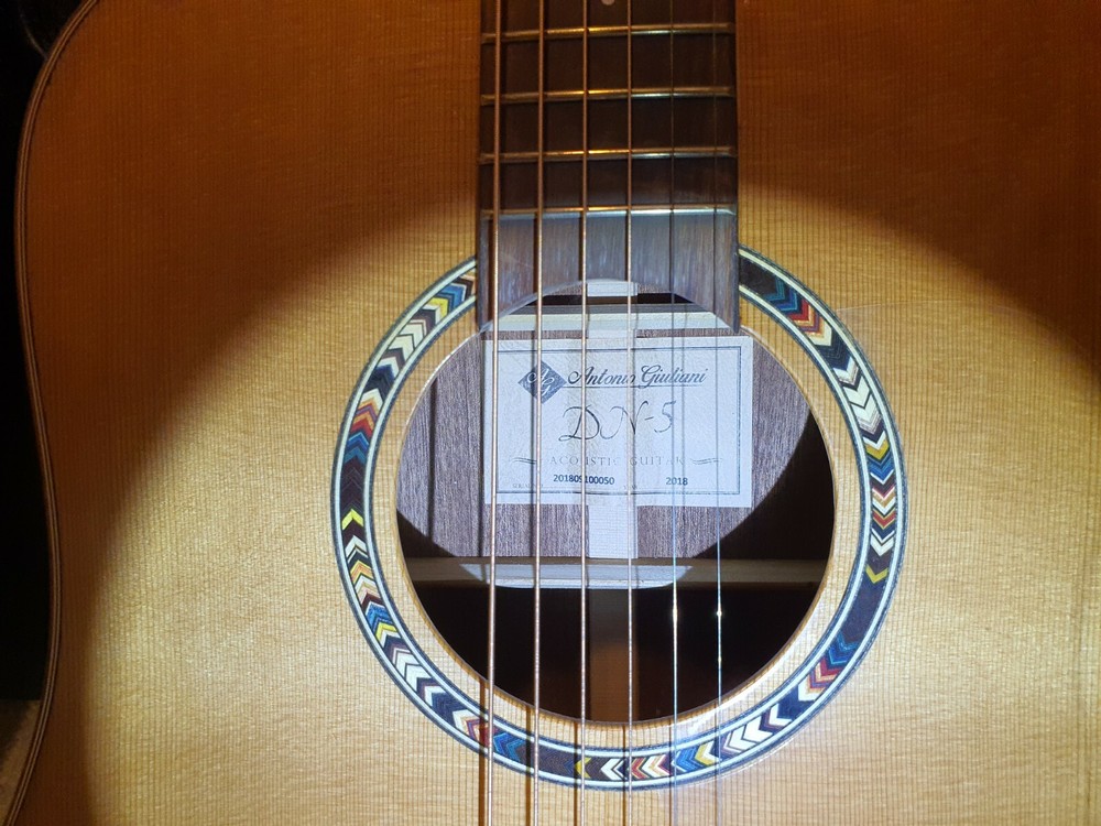 Antonio Giuliani DN-5 Acoutic Guitar
